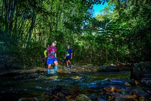 BIB: 
                            <button type="button" onclick="openModal(21764607)" class="btn btn-primary btn-sm float-right btn-popup" data-toggle="modal" data-target=".modal-high-quality">
                        <i class="fas fa-shopping-cart"></i> Add to Cart
                    </button>
                                            <button type="button" onclick="isThisMe(21764607, true)" class="btn btn-success btn-sm float-right btn-popup btn-isme hidden" data-toggle="tooltip" data-placement="bottom" title="นี่คือรูปของคุณใช่ไหม คลิกที่นี่เพื่อเอาเข้าอัลบั้ม">
                        <i class="fas fa-plus"></i> Add to album
                    </button>
                    <button type="button" onclick="isThisMe(21764607, false)" class="btn btn-warning btn-sm float-right btn-popup btn-isnotme hidden">
                        <i class="fas fa-ban"></i> Remove from album
                    </button>